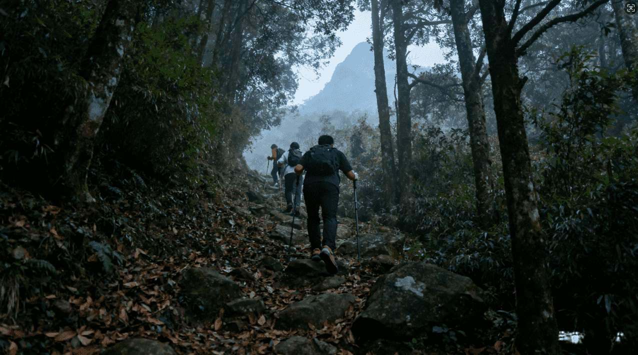 银河加速器ins苹果设备全方位使用指南